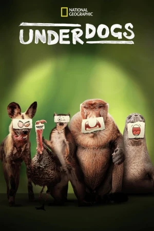 Regarder Les Outsiders du Monde Animal - Saison 1 en streaming complet